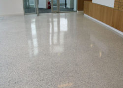 Terrazzo Floor Polishing & Restoration