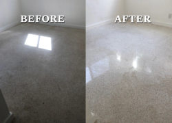 Terrazzo Floor Cleaning and Restoration